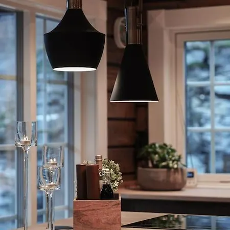 Tommerhus I Sentrum Med Panorama Utsikt גרינגר