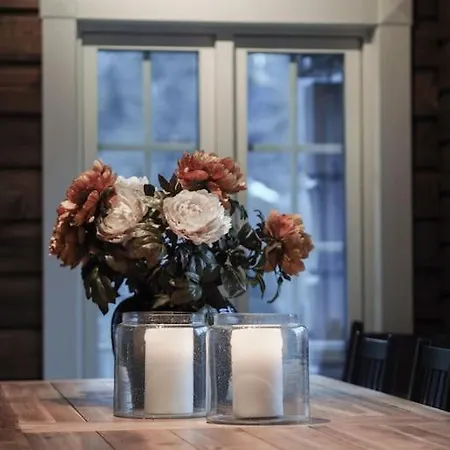 Tommerhus I Sentrum Med Panorama Utsikt Willa Geiranger